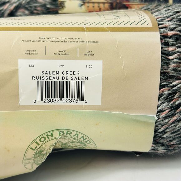 Lion Brand Yarn Hometown Bonus Bundle Salem Creek Lot 2 Skeins 8 oz Each - Picture 6 of 7